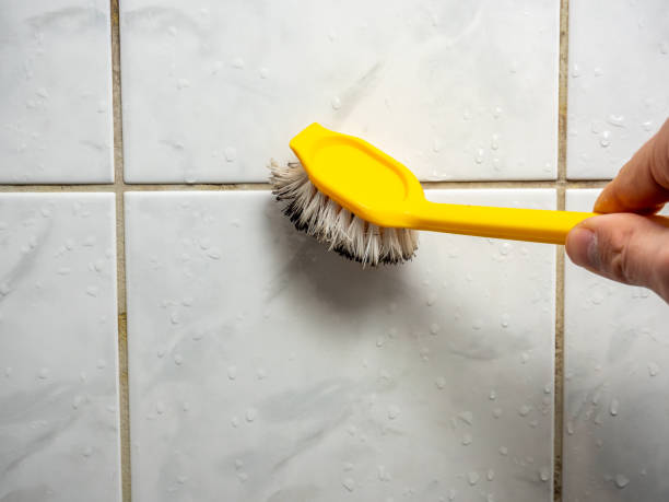 Best Toxic Mold Removal  in Oak Ridge, NJ