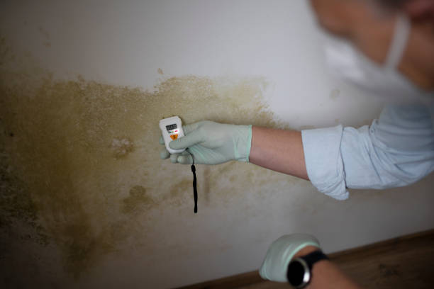 Best Commercial Mold Removal  in Oak Ridge, NJ