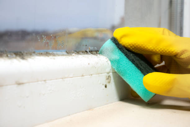 Office Mold Removal Services in Oak Ridge, NJ