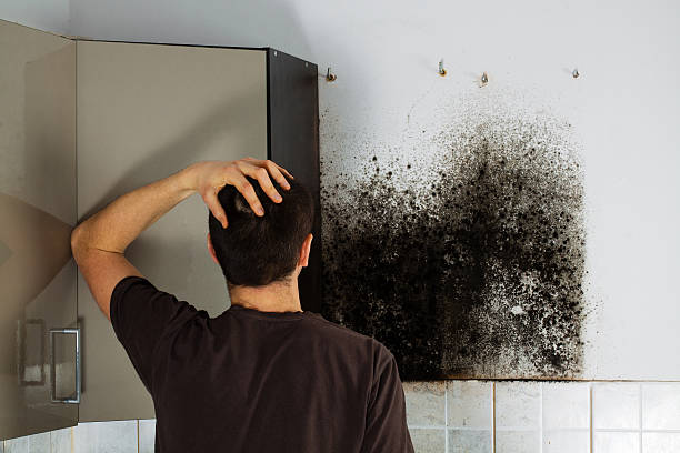 Best Office Mold Removal Services  in Oak Ridge, NJ